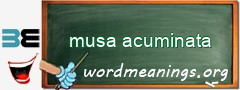 WordMeaning blackboard for musa acuminata